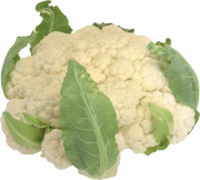 Cauliflower PNG-12676